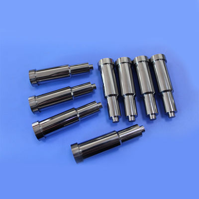 Non Standard High Precision Long Lasting Tungsten Carbide Punch and Mold Insert